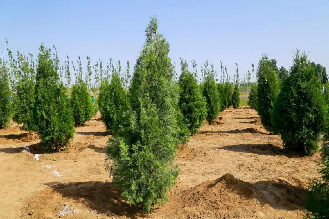 小米新品发布会全攻略:揭秘小米14系列亮点与智能家居更新,解决用户选购与使用难题