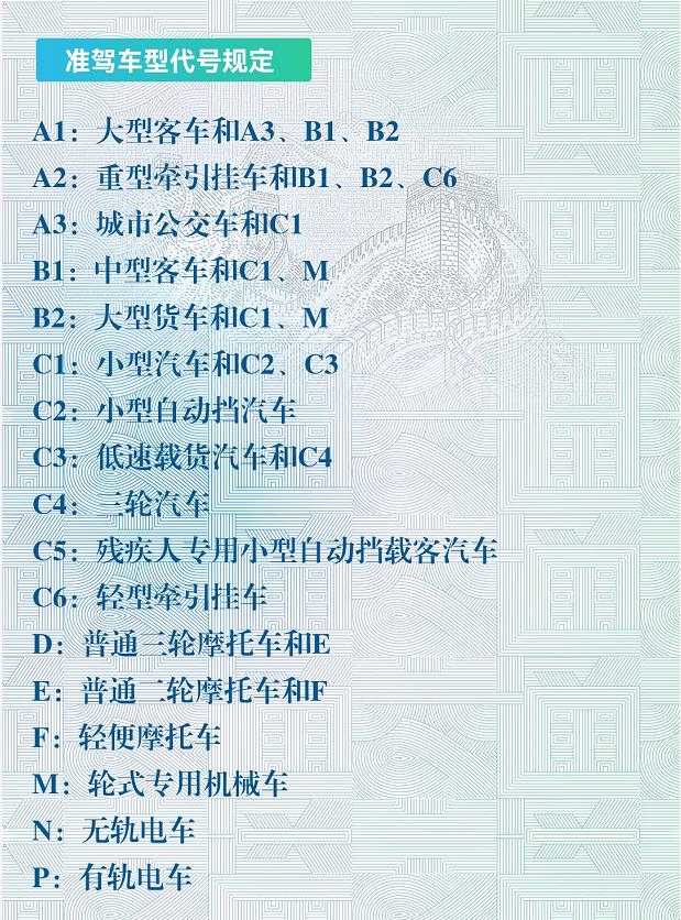 D1驾照全攻略:轻松掌握中型客车驾驶技巧,避开考试陷阱